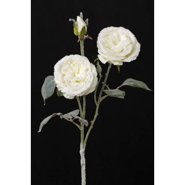 Tige de roses artificielle MADITA, enneigé, crème, 60cm, Ø9cm
