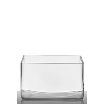 Pot en verre pour plantes MIRJA, transparent, 25x10x15cm