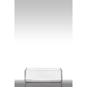 Coupe pour plantes en verre MIRJA, transparent, 30x20x10cm