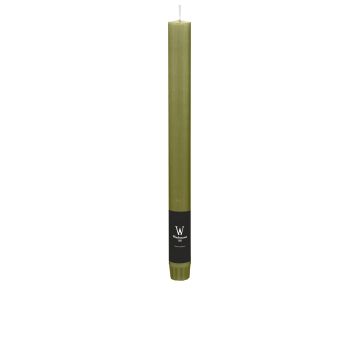 Bougie AURORA pour chandelier, vert olive, 27cm, Ø2,2cm, 10h - Made in Germany Bougie AURORA pour chandelier, vert olive, 27cm, Ø2,2cm, 10h - Made in Germany