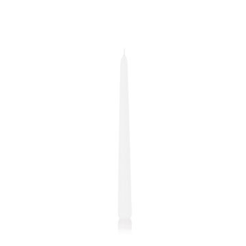 Bougie pour chandelier PALINA, blanc, 30cm, Ø2,5cm, 13h - Made in Germany