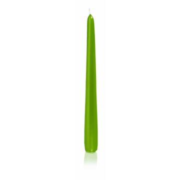 Bougie pour chandelier PALINA, vert, 25cm, Ø2,5cm, 8h - Made in Germany