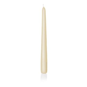 Bougie pour chandelier PALINA, crème, 25cm, Ø2,5cm, 8h - Made in Germany