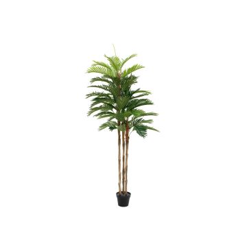 Palmier Kentia synthétique JORGANA, 180cm