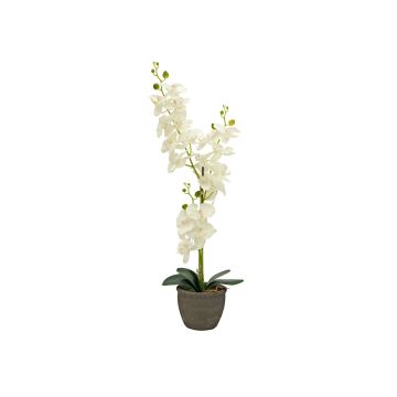 Fausse orchidée Phalaenopsis KATALIN, pot décoratif, crème, 80cm