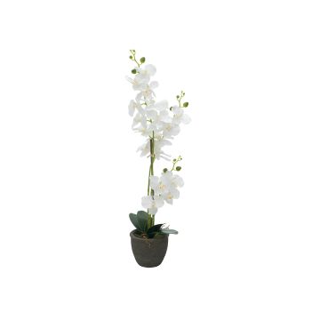 Fausse orchidée Phalaenopsis KATALIN, pot décoratif, blanc, 80cm