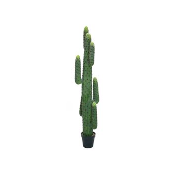 Cactus colonnaire en plastique DARION, vert, 170cm