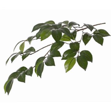 Fausse branche de camélia RAVEN, vert, 70cm