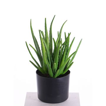 Aloe Vera artificiel LAURENA, vert, sur piquet, 65cm, Ø25cm