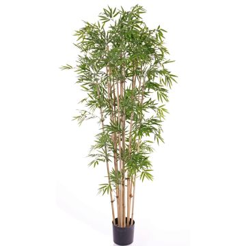 Bambou artificiel REIKA, troncs naturels, 180cm