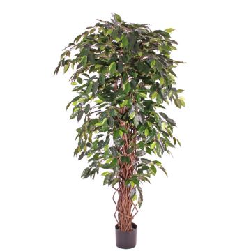 Ficus benjamina artificiel BERGLIND, troncs naturels, vert, 180cm