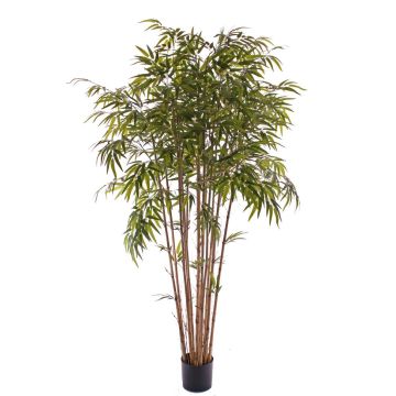 Bambou artificiel UMEKO, troncs naturels, 210cm