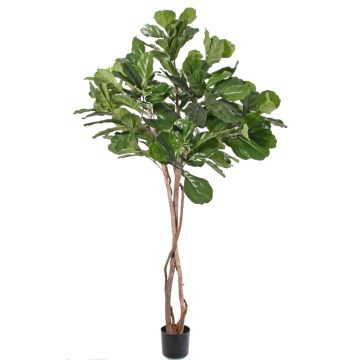 Ficus Lyrata artificiel HARVEY, troncs naturels, vert, 190cm