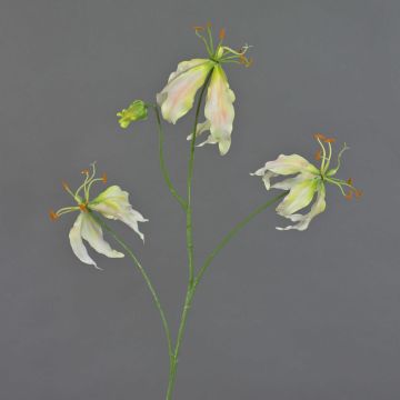 Gloriosa artificielle TIANA, rose-vert, 80cm, Ø8-15cm