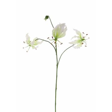 Gloriosa artificielle TIANA, blanc-vert, 80cm, Ø8-15cm