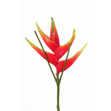 Fleur de heliconia artificielle TOMKE, rouge-vert, 80cm, Ø30cm