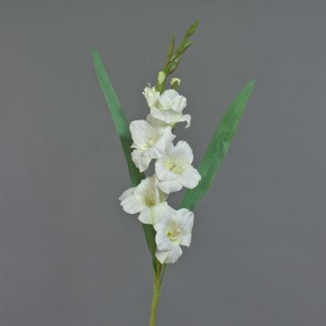 Glaïeul artificiel ELEA, blanc, 85cm, Ø3-10cm