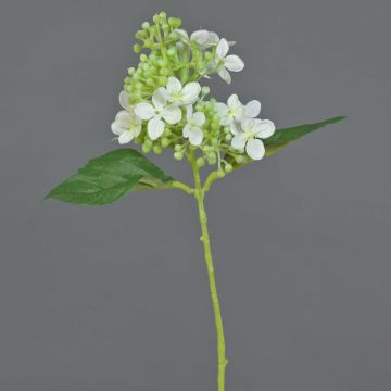 Hortensia artificiel CHABY, blanc-vert, 30cm, Ø9cm