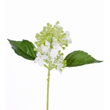 Hortensia artificiel CHABY, blanc-vert, 30cm, Ø9cm