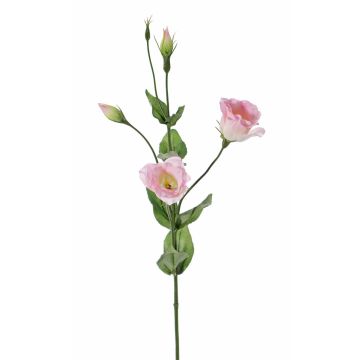 Lisianthus artificiel JUDIKA, rose, 70cm, Ø5cm