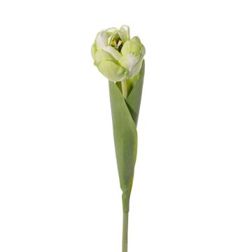 Tulipe artificielle ROMANA, vert-blanc, 45cm, Ø6cm
