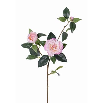 Branche de camélias en soie RIXA avec fleurs, rose, 85cm, Ø5-10cm