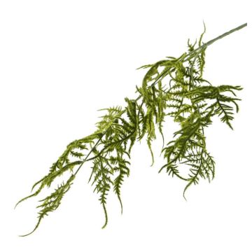 Branche d'asparagus plumosus artificielle CHRISTIAN, vert, 85cm, vert