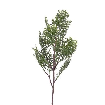 Branche de cyprès artificiel FROWIN, vert, 60cm