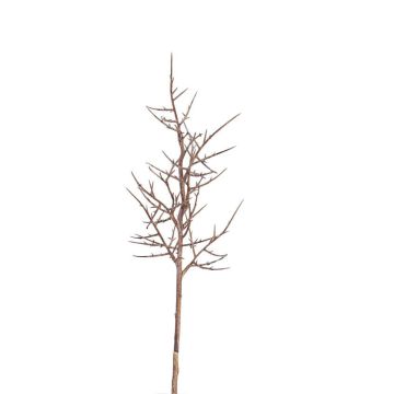 Branche d'épine du Christ artificielle OTTO, brun, 75cm