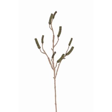 Branche de callistemon artificiel BRODY avec fruits, vert, 90cm