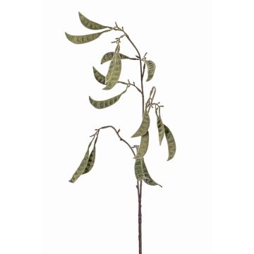 Branche de plante de pois artificielle KLAUS, vert, 90cm