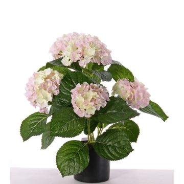 Faux hortensia TEMARI, blanc-rose, 35cm, Ø10-12cm