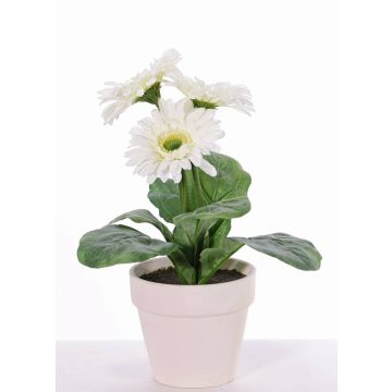 Gerbera artificiel SIMONE en pot décoratif, blanc, 30cm, Ø9,5cm