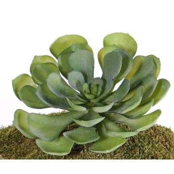 Aeonium artificiel BARBARA sur piquet, vert, 15cm, Ø25cm