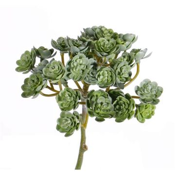 Echeveria artificiel BLAIR sur piquet, vert, 20cm, Ø10cm