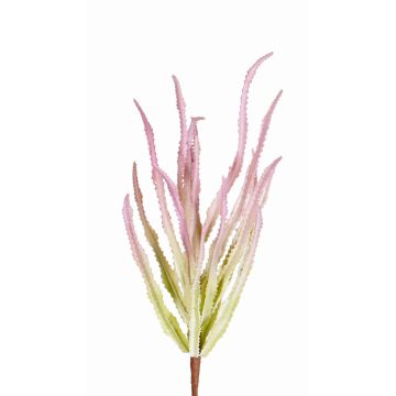 Euphorbia trigona synthétique REESE sur piquet, rose-vert, 30cm, Ø20cm