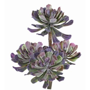 Aeonium artificiel ELOISE sur piquet, violet-vert, 30cm, Ø20cm