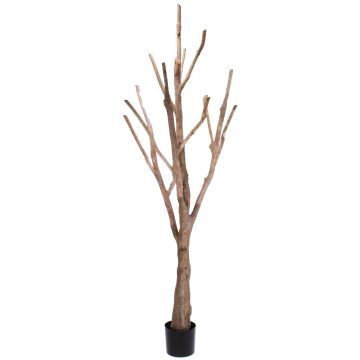 Faux tronc d'arbre et branches sans feuillage WILKO, brun, 215cm
