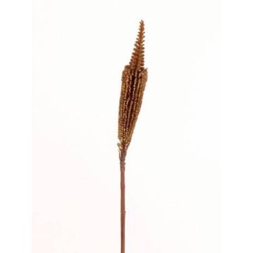 Bulbinella angustifolia artificiel TALUNA, brun clair, 65cm, Ø6cm