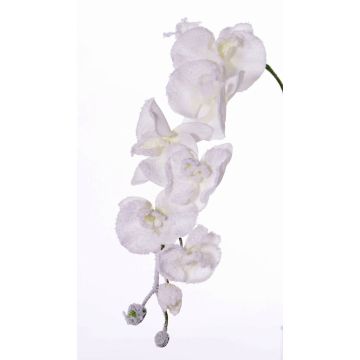 Tige d'orchidée Phalaenopsis artificielle MYRIA, enneigé, blanc, 75cm