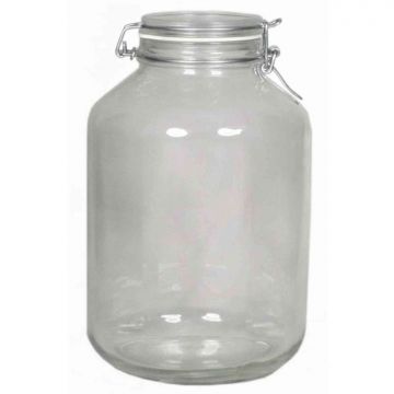 Bocal de conservation en verre JARVEN, 5 litres, transparent, 27,5cm, Ø17cm