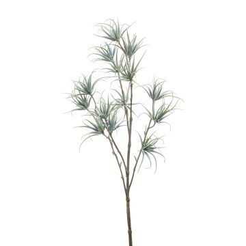Branche de Tillandsia stricta artificielle MONDRIAN, vert-gris, 65cm