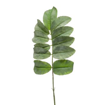 Branche de melianthus artificielle SATORU, vert, 65cm