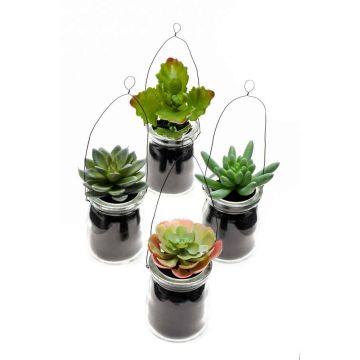 Panier suspendu avec plantes succulentes artificielles LASEO en verre, 4 pièces, multicolore, 10cm