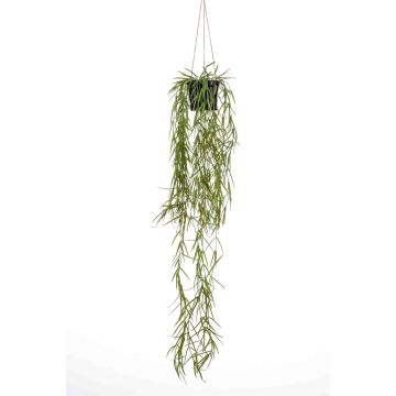 Panier suspendu avec rhipsalis artificiel BOLTEN, vert, 80cm