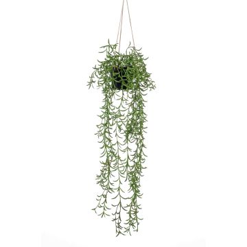 Panier suspendu avec senecio artificiel BOLTEN, vert, 70cm