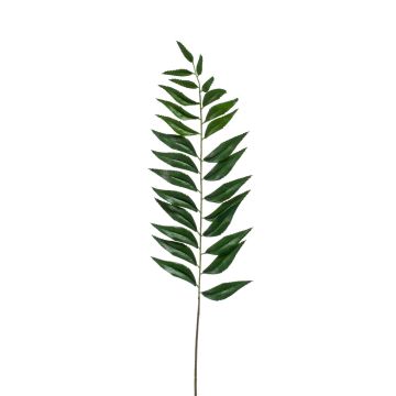 Branche de Mahonia artificielle RIBALTA, vert, 80cm