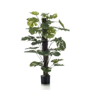 Philodendron Monstera Deliciosa artificiel LASO, 120cm
