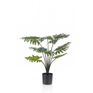 Philodendron Selloum artificiel FRIO, 60cm