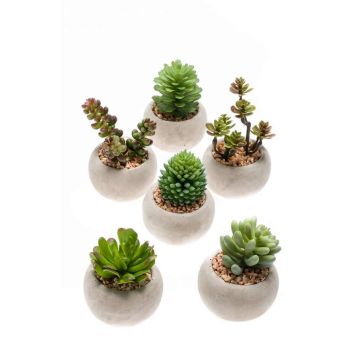 Plantes succulentes artificielles CAMBELA en pot en béton, 6 pièces, multicolore, Ø6,5cm Plantes succulentes artificielles CAMBELA en pot en béton, 6 pièces, multicolore, Ø6,5cm